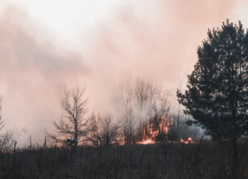 Región de Valparaíso: Declaran alerta por amenaza de incendio forestal