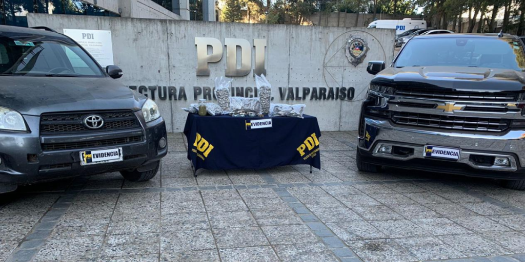 PDI Valparaíso incautó 15 mil dosis de cannabis sativa