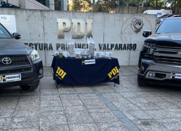 PDI Valparaíso incautó 15 mil dosis de cannabis sativa