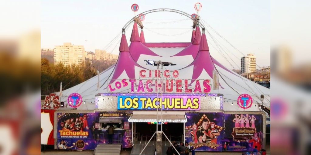 Quillota: Circo "Los Tachuelas" debuta este viernes con el Hombre Bala y Péndulo de la Muerte