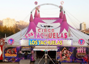 Quillota: Circo "Los Tachuelas" debuta este viernes con el Hombre Bala y Péndulo de la Muerte