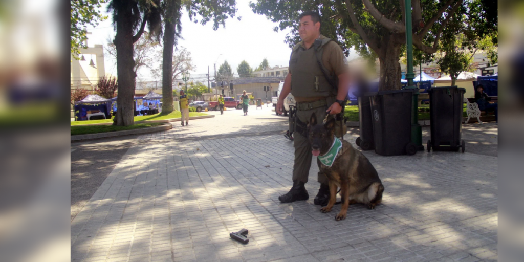 Quillota: Tarea audiovisual de alumnos con arma de plástico causó pánico en la Plaza de Armas