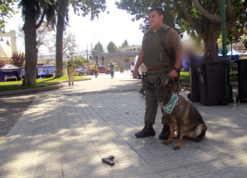 Quillota: Tarea audiovisual de alumnos con arma de plástico causó pánico en la Plaza de Armas