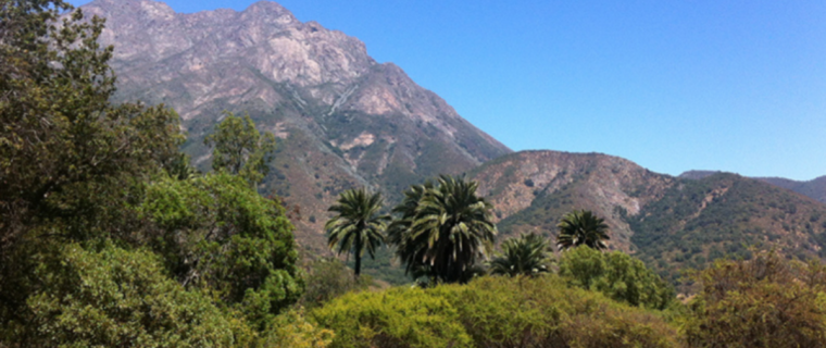 Reabren el Parque Nacional La Campana y la Reserva Lago Peñuelas de Valparaíso