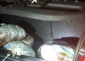 Ruta 5 Norte: Hallan 12 mil dosis de marihuana en control vehicular