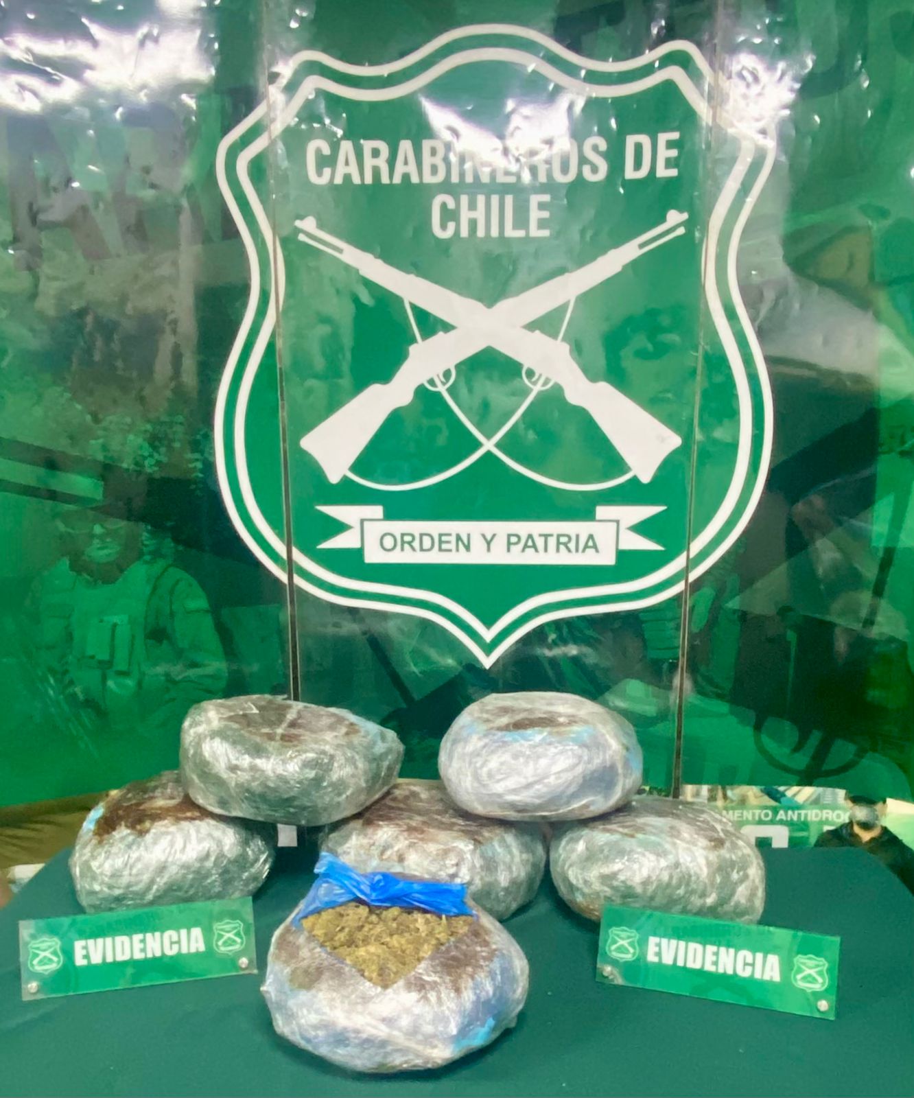 Ruta 5 Norte Hallan 12 mil dosis de marihuana en control vehicular