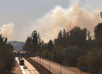 Valparaíso: Declaran incendio forestal en Placilla de Peñuelas