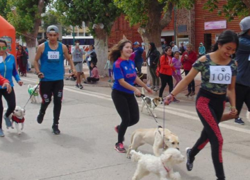 Petorca: Este fin de semana se realizará Corrida Familiar “Perro Running”