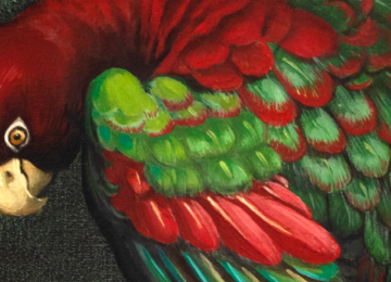 En Zapallar inauguran exposición del pintor Pedro Erlwein