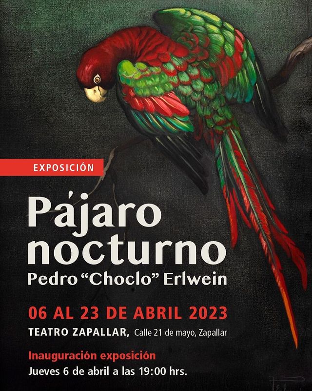 Pájaro nocturno exposición de la obra de Pedro Erlwein