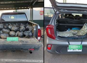 Ruta 5 Norte: Hallan 168 kilos de marihuana en dos vehículos