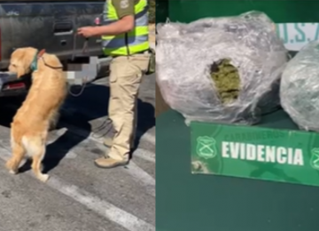 Se dirigía a La Calera con más de 10 mil dosis de marihuana
