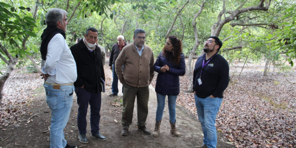 Director de Serviu visitó terreno en La Cruz donde se busca construir viviendas sociales