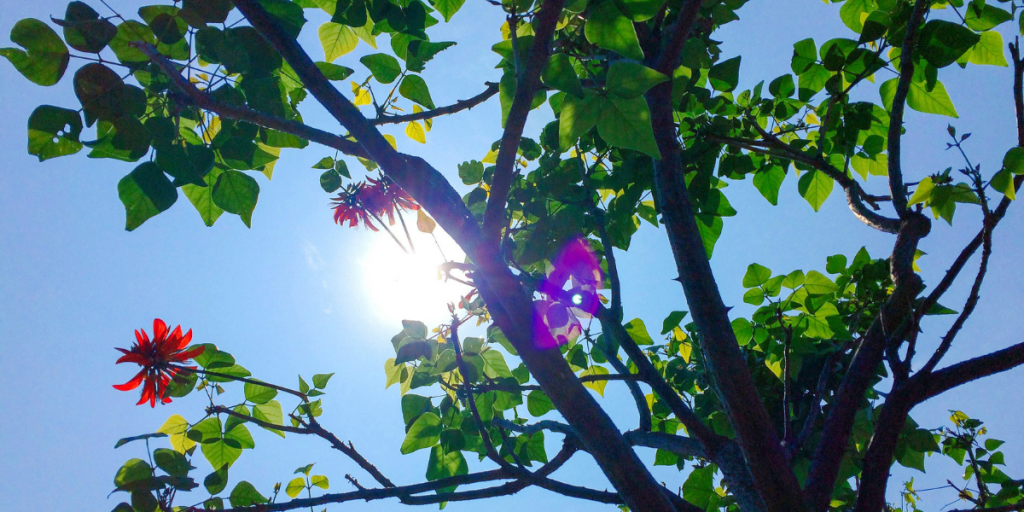 Hasta el sábado se extendería ola de calor que afecta a la zona central