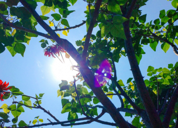 Hasta el sábado se extendería ola de calor que afecta a la zona central