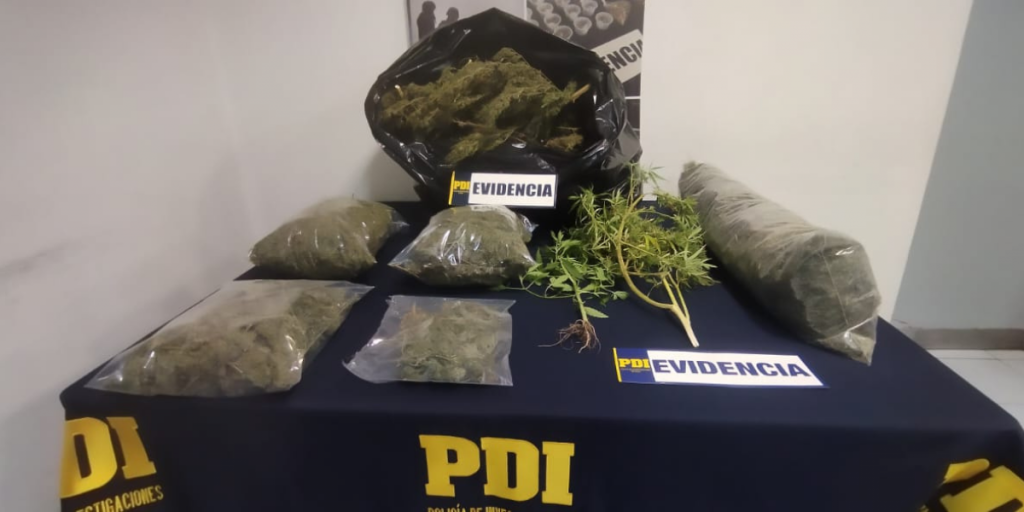 Incautan 7 kilos de droga en domicilio de Llay Llay