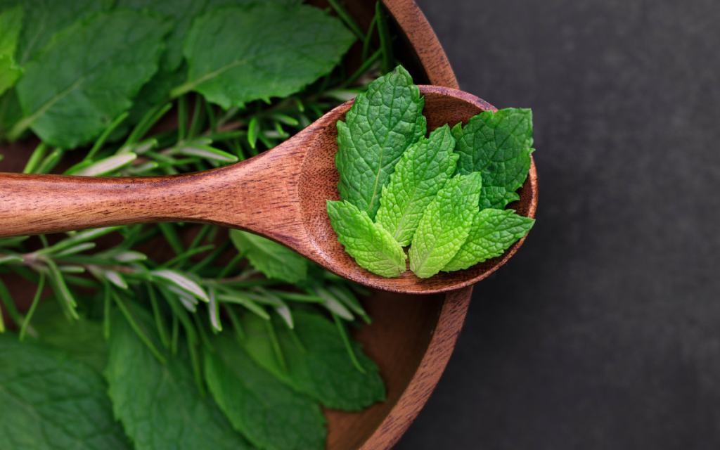 Esta instancia servirá de antesala a la creación de un jardín medicinal público.