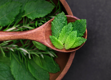 Esta instancia servirá de antesala a la creación de un jardín medicinal público.