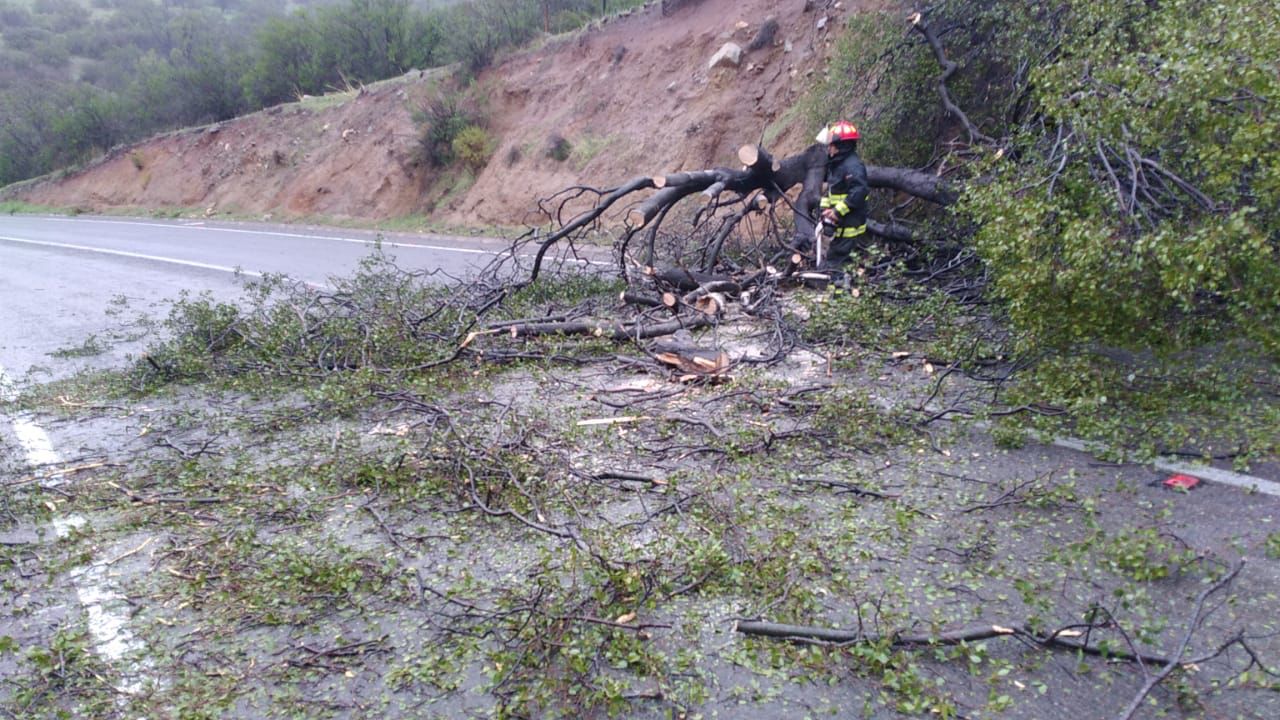 ¿Cuánta agua lluvia ha caído en la provincia de Petorca?