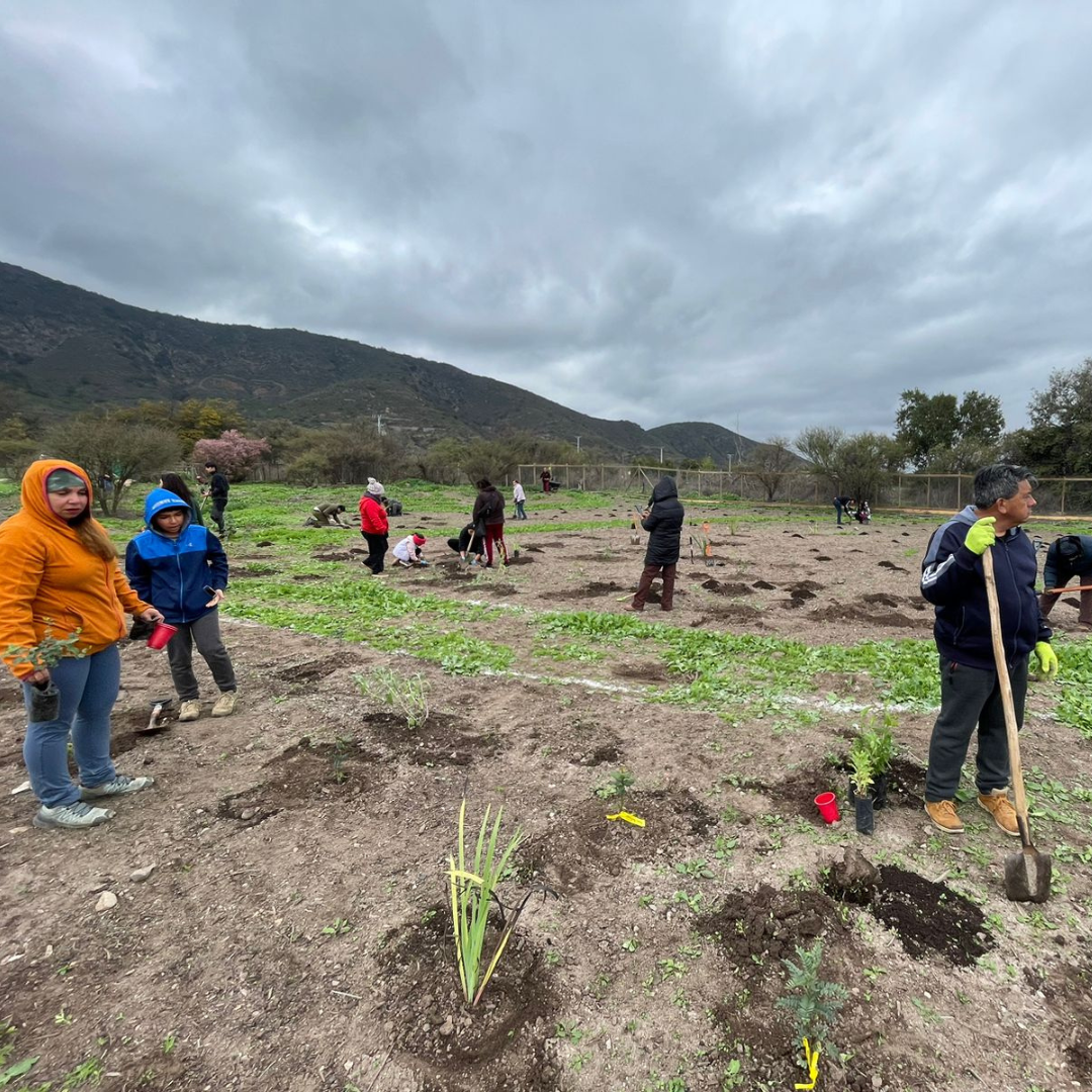 Comunidades de El Melón y Nogales plantaron 600 árboles para crear nuevos espacios verdes