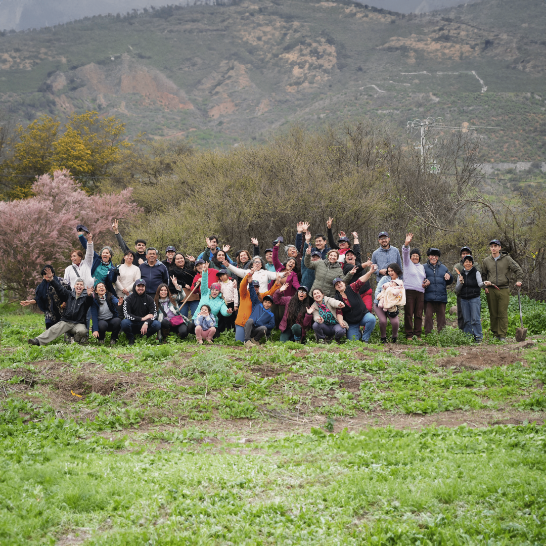 Comunidades de El Melón y Nogales plantaron 600 árboles para crear nuevos espacios verdes