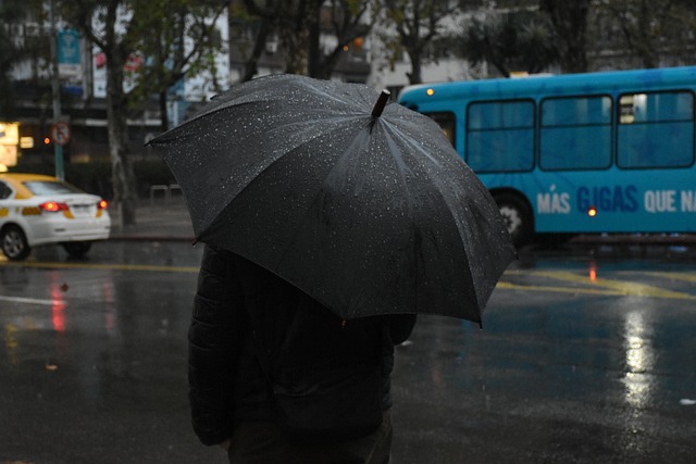Lluvia en la región de Valparaíso