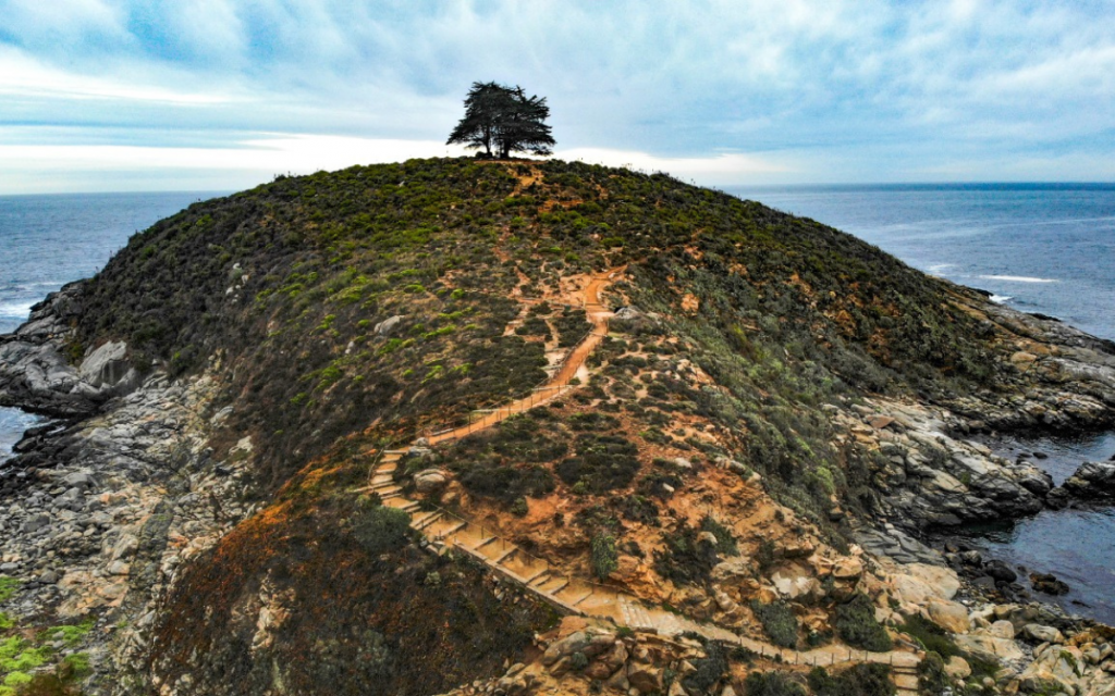 Región de Valparaíso: Aprueban creación de tres nuevos santuarios de la naturaleza