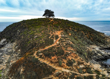 Región de Valparaíso: Aprueban creación de tres nuevos santuarios de la naturaleza