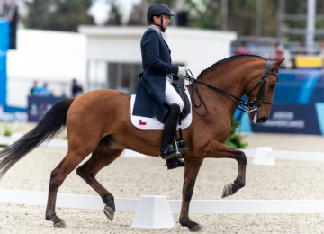 Panamericanos en Quillota: 8 tips para ir a ver Salto ecuestre y Evento completo