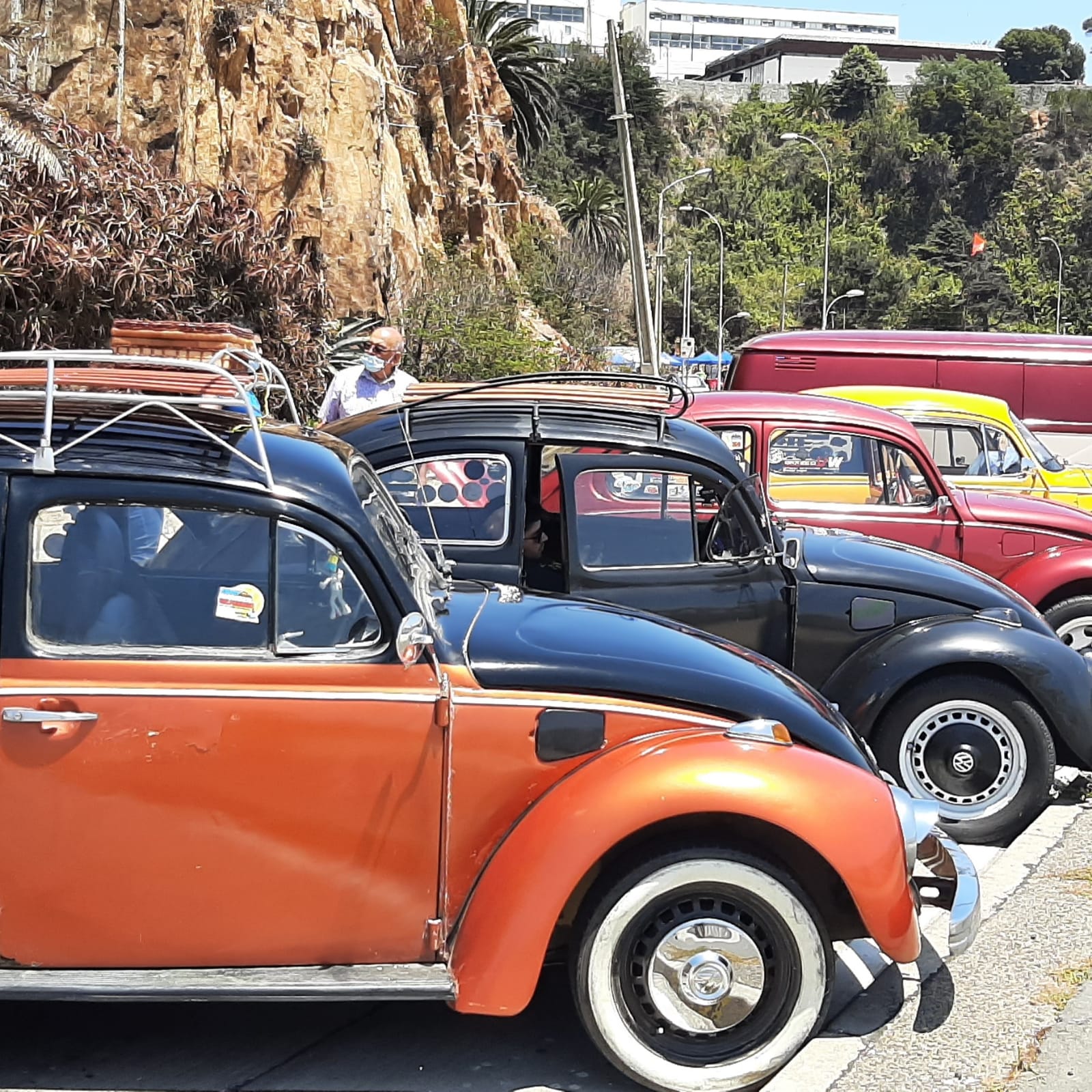 A Quillota llega imperdible encuentro de autos clásicos