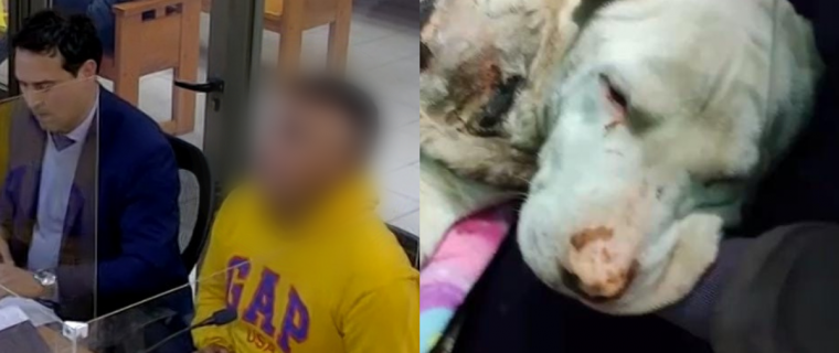 En prisión preventiva quedó conductor por caso de maltrato animal en Nogales