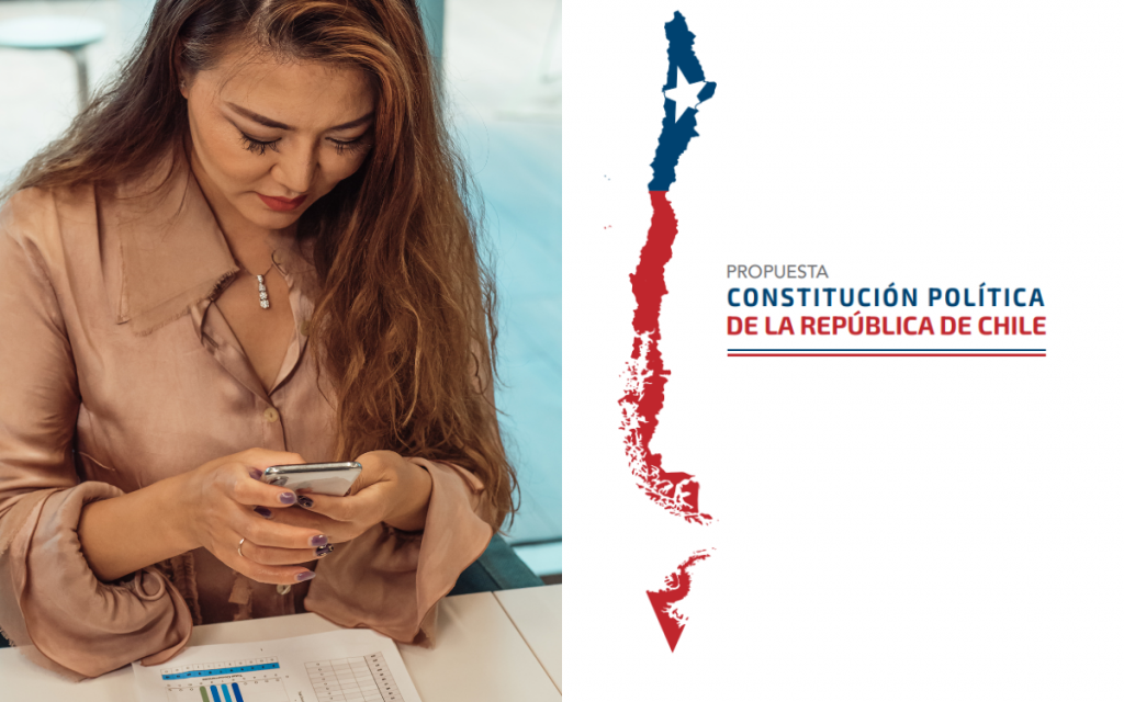 Propuesta de Constitución 2023