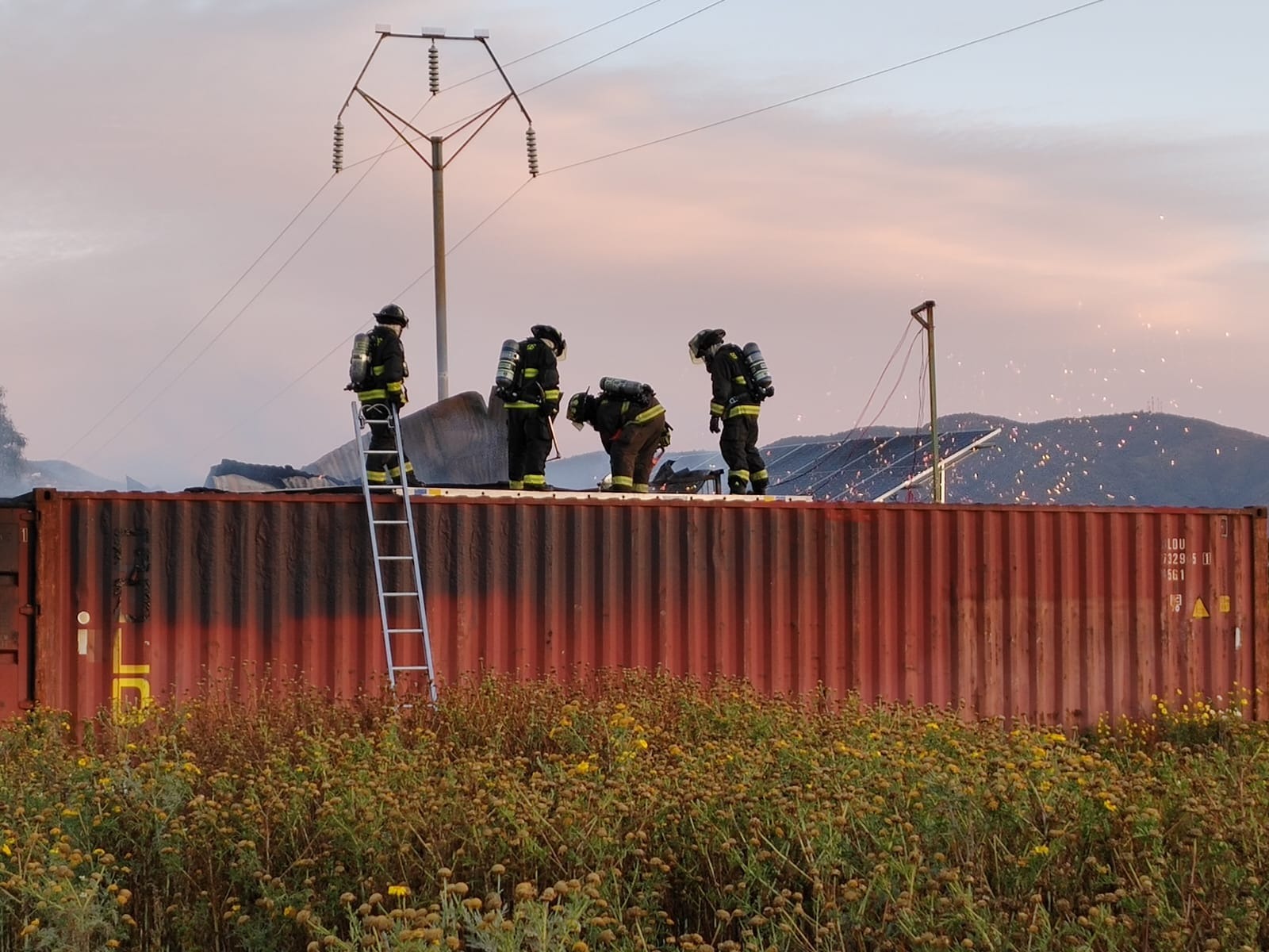 Quillota Incendio en bodega provocó la muerte de dos perros 