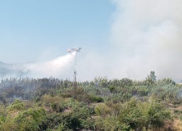 Quillota Indagan participación de terceros en 10 incendios ocurridos en una semana