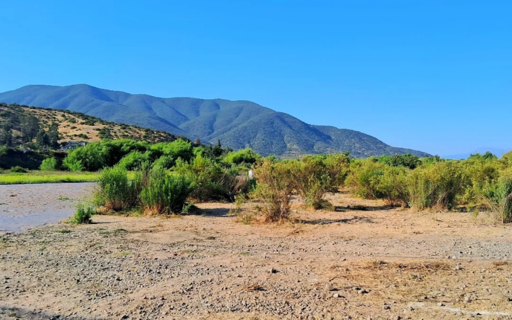 Todo limpio: La ejemplar postal que dejó Rock en Río Aconcagua en Quillota