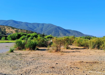 Todo limpio: La ejemplar postal que dejó Rock en Río Aconcagua en Quillota