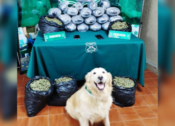 Ruta 5 Norte: conductor de auto transportaba más de 40 kilos de droga