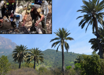 Descubrieron a personas haciendo fuego ilegal en el Parque Nacional La Campana