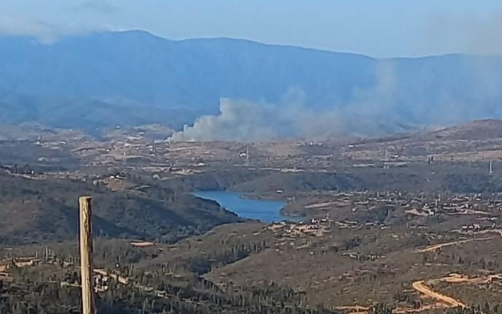 Incendio forestal en Tabolango en Limache consumió 8 hectáreas