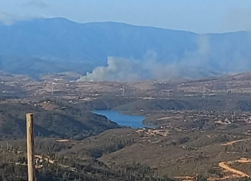 Incendio forestal en Tabolango en Limache consumió 8 hectáreas