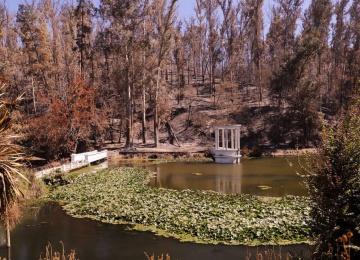 Jardín Botánico de Viña prepara evento solidario con Inti-Illimani