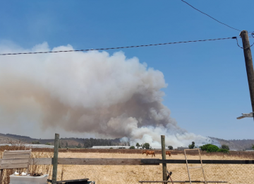 Papudo en Alerta Roja por incendio forestal de rápido avance
