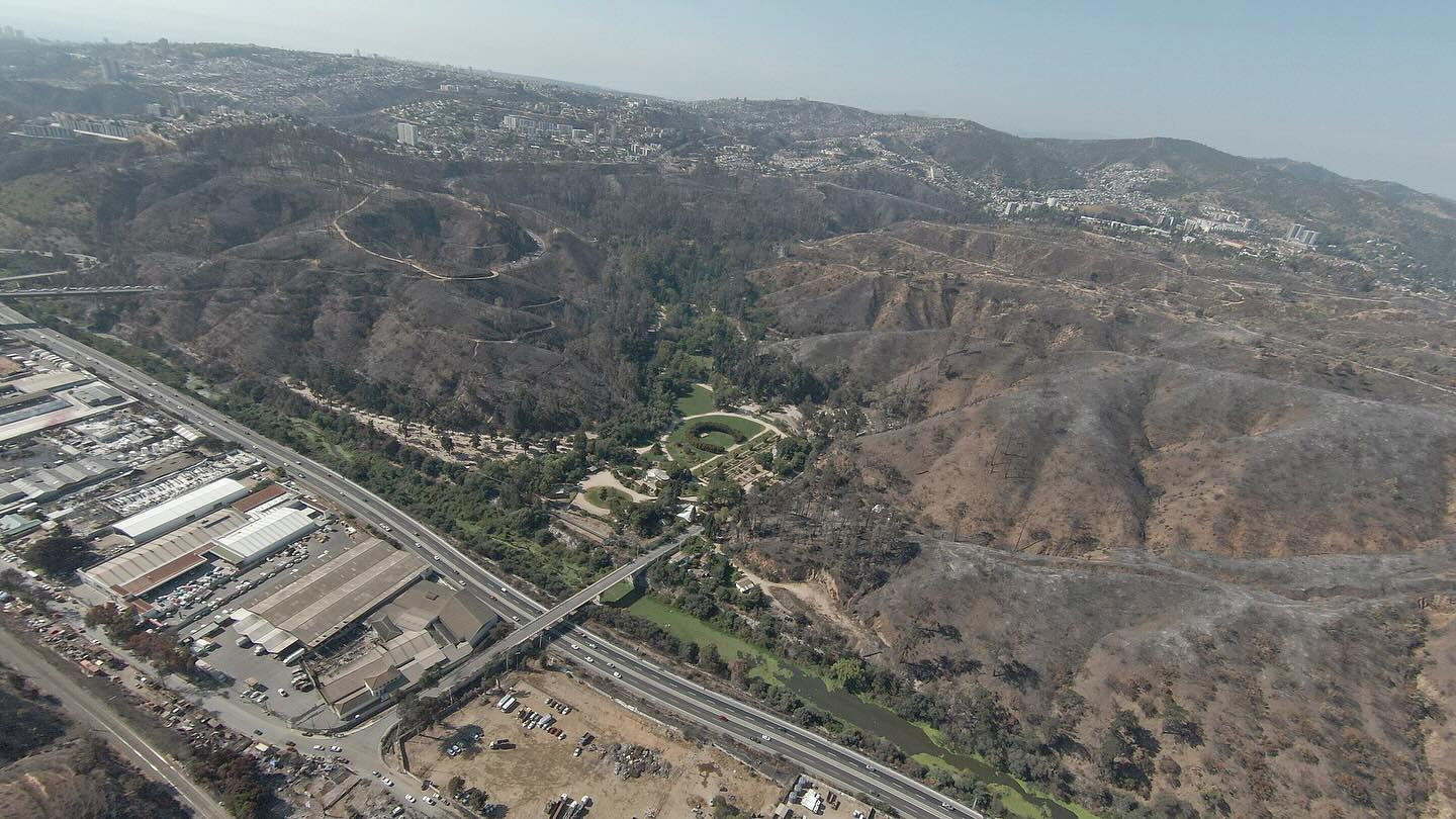 Jardín Botánico de Viña del Mar tras incendio de 2024