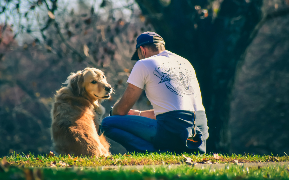 Revelan los nombres más populares de perros y gatos en Chile