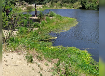 Adulto mayor extraviado fue encontrado sin vida en el estero de Quilpué