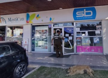 Detienen a dos hombres por violento asalto a farmacia de La Cruz