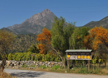Parque Nacional La Campana abrirá gratis en el Día del Deporte