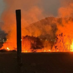Incendio forestal puso en riesgo el Humedal Urbano de El Litre, entre La Calera y Nogales