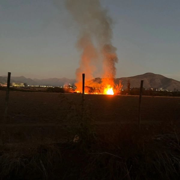 Incendio-forestal-puso-en-riesgo-el-Humedal-Urbano-de-El-Litre-entre-La-Calera-y-Nogales.jpg