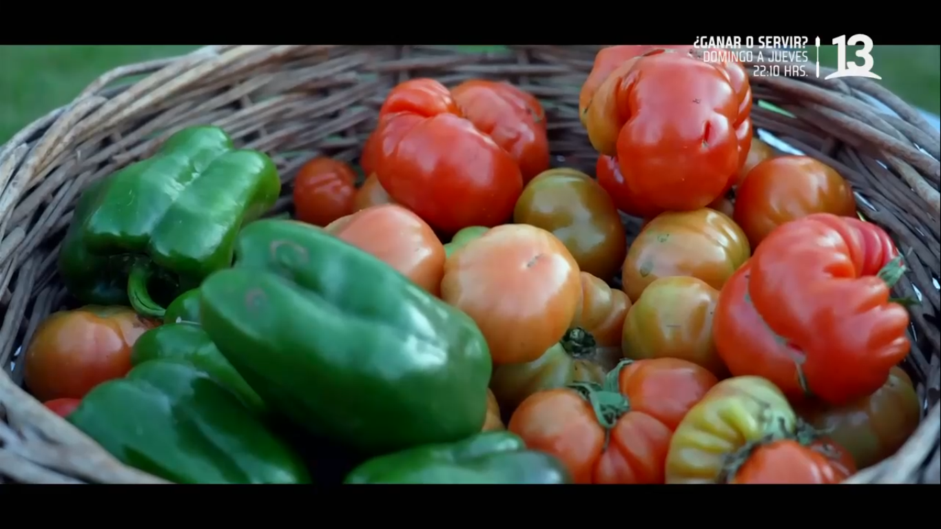 [VIDEO] “Lugares que hablan” mostró la maravillosa historia del tomate limachino